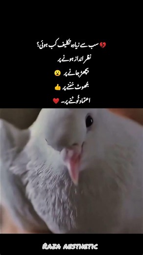 takleef🤕#bollywoodsongs#poetry #sad #ytshorts#shorts#song #subscribe #quotes