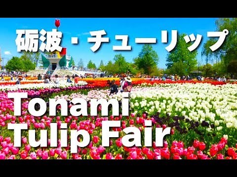 Tulip Garden Japan 富山 となみチューリップフェア 花の名所 花見頃 砺波観光 富山観光 花畑 砺波市 チューリップ祭り チューリップ公園 観光名所 Japan Tonami