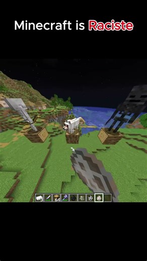Is Minecraft Racist? Let’s Talk About the Truth#minecraft #edits