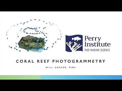 Mapping Reef Health: Using Photogrammetry and 3D Models to Monitor and Visualize Coral Reefs