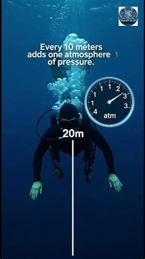 What Happens If You Fall Into the Deep Ocean? Terrifying Truth About Ocean Pressure #science #facts