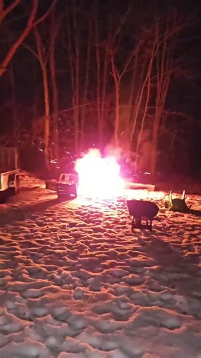 Campfire Explosion #viral #youtubeshorts #shorts