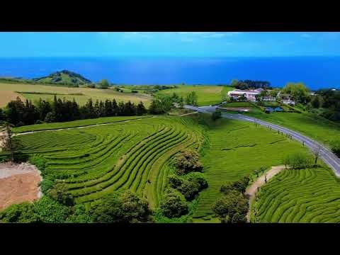 Azores Islands — Volcanoes, Tea Fields & Atlantic Wonders | Aerial Documentary 4K