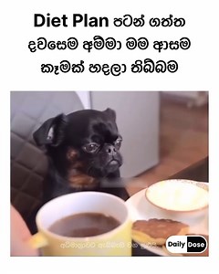 ඉතින් බෑනේ කරන්න 😑 | Daily Dose