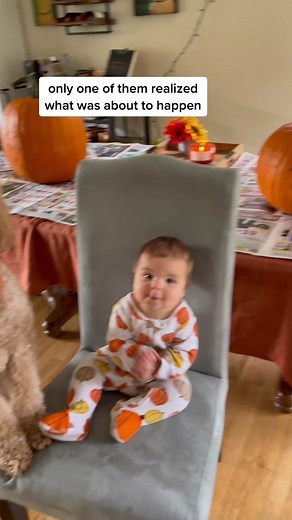 and only one of them was happy about it #conflores #dogtok #dogtiktok #dogsandbabies