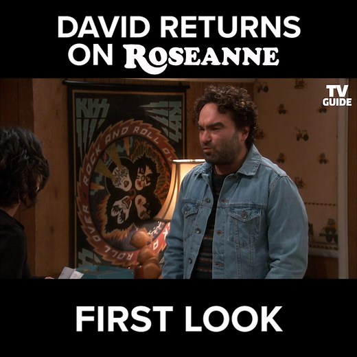 Welcome back, Johnny Galecki! cc Roseanne | TV Guide