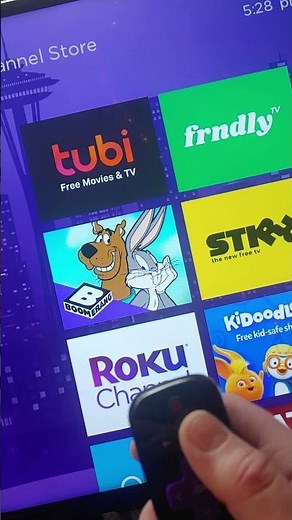 Roku developer options