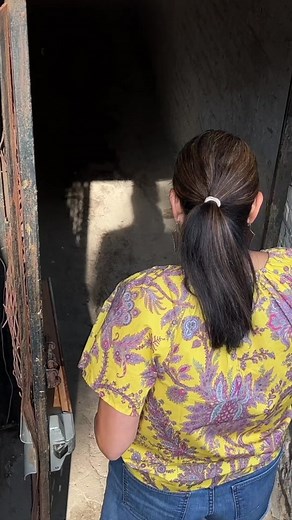 paws in the concrete: planning a mass trapping #tnr project #trapneuterreturn