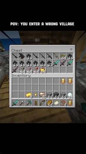 POV: You enter the wrong village💀 #minecraft