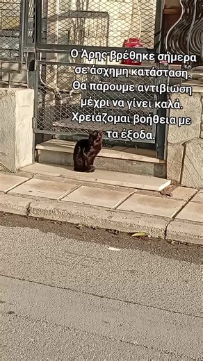 Ο Άρης βρέθηκε σήμερα σε άσχημη κατάσταση στην Σταυρούπολη Θεσσαλονίκης..Ενας γατούλης νοχελικος, μπουκωμενος με μυξες αστειρωτος και χτυπημένος από την αδέσποτη ζωή. Τον πήγα στην κλινική πήραμε αντιβίωση και καλή τροφή και είναι σε φιλοξενία μέχρι να γίνει καλά. Χρειάζομαι βοήθεια με τα έξοδα του #dog #puppy #γατα #γατάκια