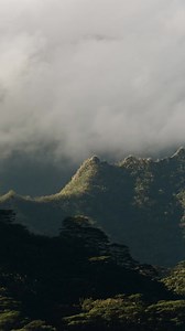 2.3K views | The process behind the shot  Hawaii, up close with the SANDMARC Telephoto 10x.  #sandmarc #hawaii #oahu #shotoniphone #cinematic #iphonephotography #photography #travel | SANDMARC | Facebook