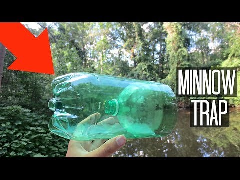 Minnow Trapping!! Homemade 2-Liter Trap! (Surprise Catch!)