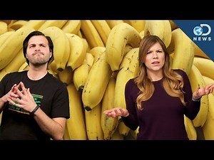 Why Are Bananas Going Extinct?