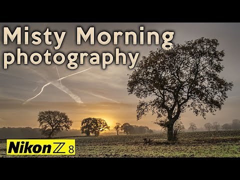 Misty Conditions EXPERT Reveals Top Photography Techniques for Beginners