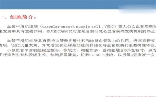 细胞培养：小鼠主动脉平滑肌细胞（MOVAS细胞）培养教程