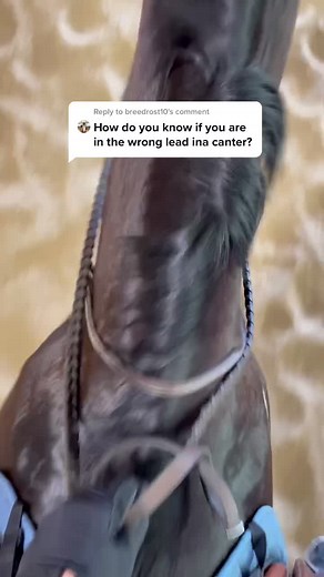 Cantering Tips: Picking up the Correct Lead & Saddle Holding