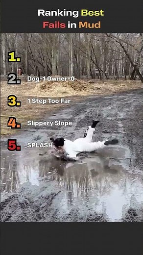 Ranking Best Mud Fails