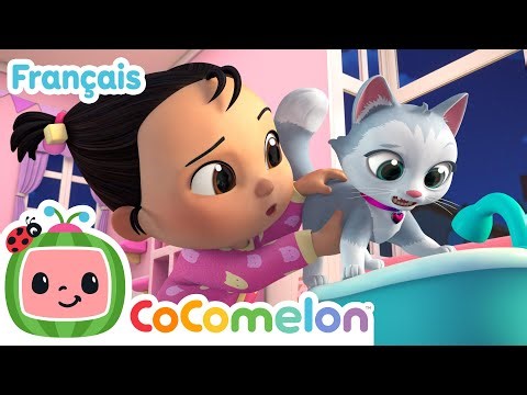 Le bain du petit chat | Épisode Complet | CoComelon en Français | Chansons pour bébés