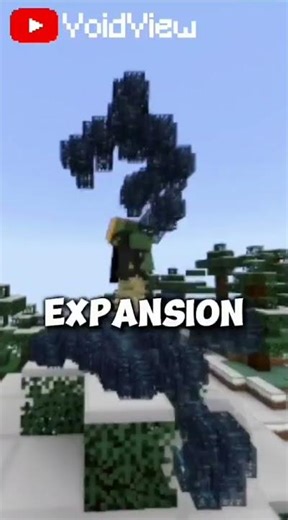 DonutSMP World Border Expansion in 7Days #minecraft #donutsmp