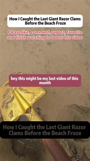 How I Caught the Last Giant Razor Clams Before the Beach Froze This might be my final coastal foraging adventure of the month - the beach is about to freeze! In this episode, I'm showing how to catch *giant razor clams* hiding deep beneath the sand, using salt, speed, and a little bit of intuition. It's one of the most thrilling seafood hunts you can try along tidal beaches - just like in the Pacific Northwest, Washington State, or even the chilly coasts of Maine. Watch closely as I track each a