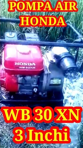 Honda WB 30 XN 3 inch water pump. #waterpump #honda #gx160