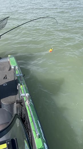 Father / Son Duo on ERIE 🦆🐟🎣#lakeerie #fishing #cootslures #letsgofishing #walleye #walleyefishing #htenterprises #vexanfishing #ohio #trollmasterslx #cootsrods #nitroboats #mercurymarine #egofishinggear #shadyrays #killzonefishing #CiscoFishingSystems HT Enterprises Inc Mercury Marine Cisco Fishing Systems, Ltd. Vexan Fishing Nitro Boats HI-Way Bait & Tackle & Lodging EGO Fishing - Designed for the Savvy Angler Kill Zone Fishing System | Coots Lures
