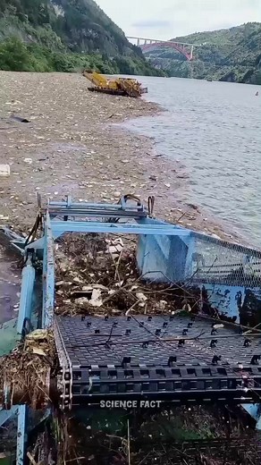 2.6M views · 46K reactions | #trendingreels #facts #factsdaily #viral #fact #science #reels | Science Fact | Facebook