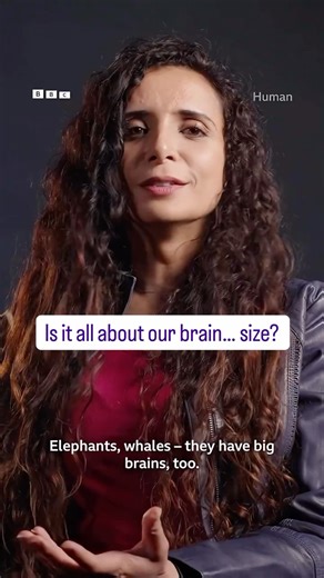 Ella Al-Shamahi on Instagram: "I delve into this a lot for my tour (tickets now on sale, starting Jan 16th in London). Remember if you haven’t caught it, HUMAN is your Xmas family viewing sorted, it is available on BBC iPlayer (UK) and the PBS app (USA) and has started rolling out to other countries - go to https://www.bbcearth.com/shows/human to see when and where it comes to your region (note there are technically two cuts/versions - one is my version and the other doesn’t have me in it, they 