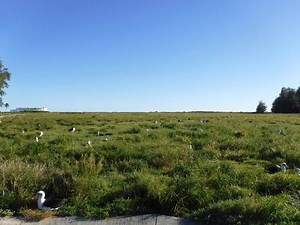 57 reactions · 22 shares | November is an exciting time of year on...