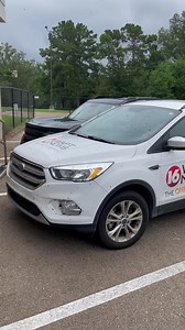 12K views · 53 reactions | The love bugs are back with a vengeance! Do you have any ideas about how to keep them off your car? | 16 WAPT News | Facebook