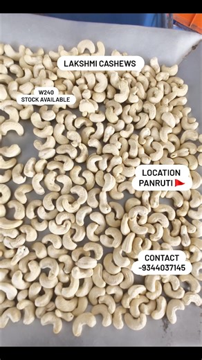 #kajukatli #cashews #kaju #cashew Lakshmi Cashew | Lakshmi Cashews