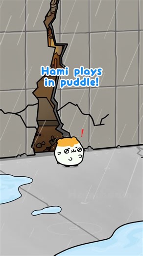 Hamiboom on Instagram: "yipee!!!!🐹☔️ #hamiboom"