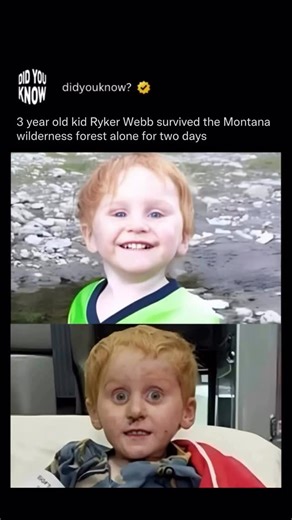 Did You Know on Instagram: "In June 2022, three-year-old Ryker Webb disappeared from his home near Troy, Montana, and survived for two days alone in the wilderness. He was last seen playing with the family dog in his backyard on a Friday afternoon, but by the time his father returned from a brief trip inside, Ryker was gone. The search for the toddler was significant, involving over 50 ground searchers, dog teams, drones, and National Guard helicopters. Efforts were heavily restricted by severe 