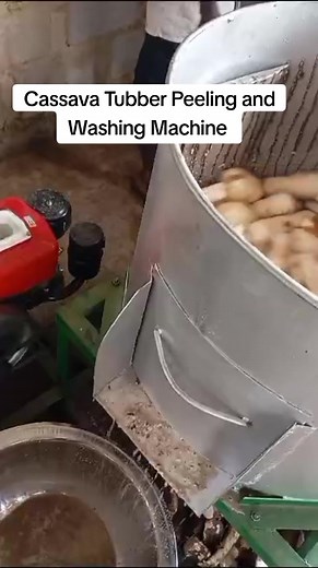 Cassava Tubber Peeling and Washing Machine for Garri Processing in Ibadan