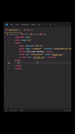 TheCodeDonkey on TikTok