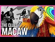 The Clues- Macaw - Season 9 Ep. 6 - The Masked Singer