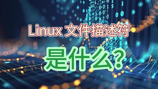 Linux 文件描述符是什么？