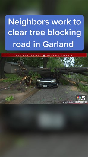 320K views · 2.2K reactions | Neighbors are working to clear an uprooted tree in Garland. NBC 5's Alanna Quillen is on the scene.⁠ https://on.nbcdfw.com/fxH7Y4W | NBC DFW | Facebook