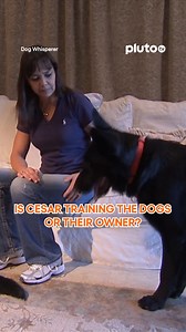 11K views · 61 reactions | cesar doesn’t just train dogs  #TheDogWhisperer #CesarMillan #DogTraining #PlutoTV #PlutoTVUK | Pluto TV | Facebook