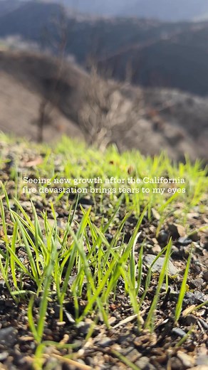 30K views · 380 reactions | #CaliforniaFires  | Marcel Williams | Facebook