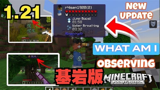 [1.21/首发汉化] 高亮显示V4.2.0 ✦ 基岩版 | 属性汉化 | 物品信息显示 ☭ What Am I Looking At?
