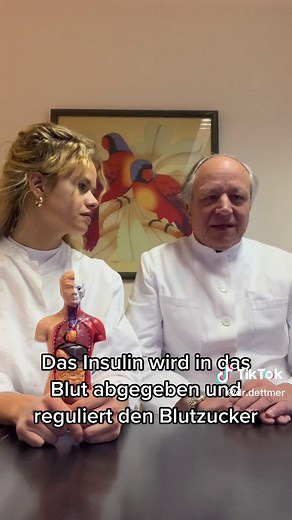 5 Fakten zur Bauchspeicheldrüse: Funktion und Bedeutung