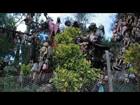 15 Creepiest Forests Where No One Dares to Enter