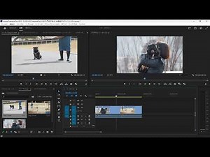 クリップを上書きしよう-『Premiere Pro よくばり入門 改訂版』解説動画