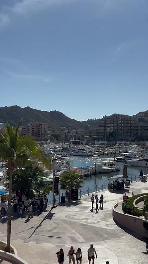 Cabo San Lucas, Mexico ✨🌊🌴 | Discovering CABO