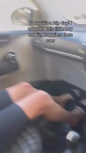 Why You Should Adopt a Dog Instead of Buying