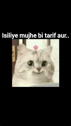 aaj to dost ki fielding set hain😏 #trending #funny #memehub #cat #memesguru2 #memes #memesworld