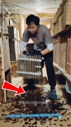 This Man Trains Cockroaches… for Lipstick 😳🪳#shorts