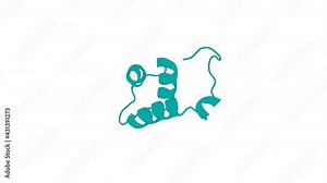 360º realistic 3D rendering of an animated biological molecule over a white background with alpha mask. Solution Structure of UBA domain of Human Ubiquitin Associated Protein 1 (UBAP1)