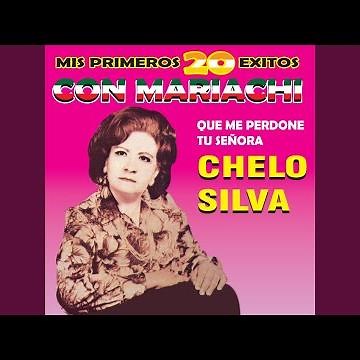 Que Me Perdone Tu Señora